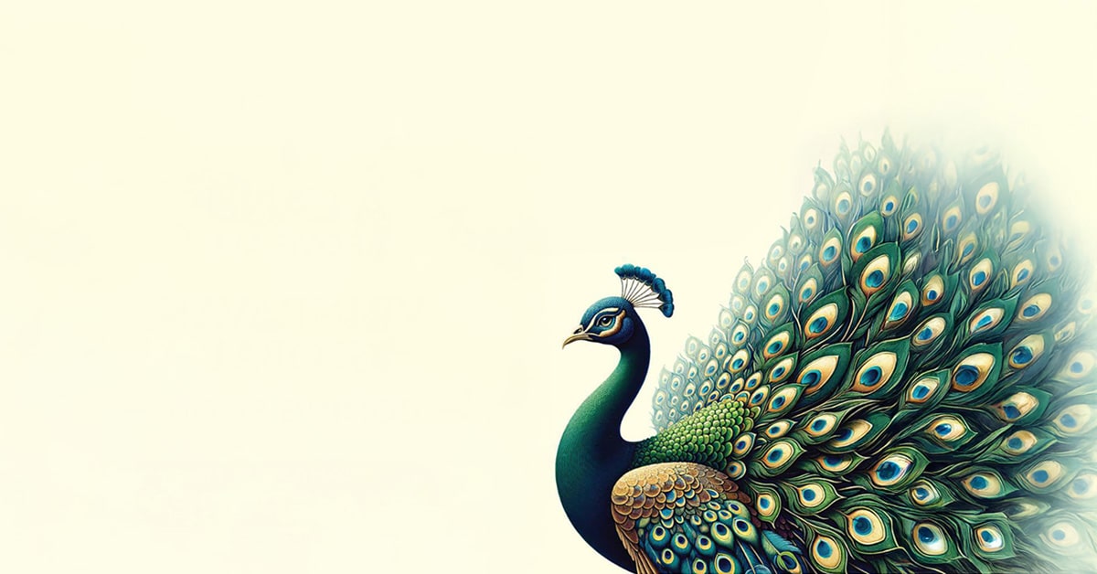 banner_bg